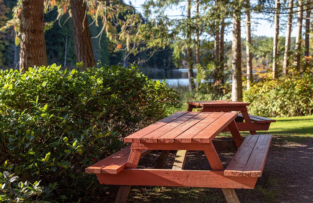 Cusheon Lake Resort-1